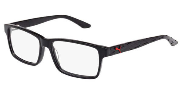 PU0026O 001 Eyewear